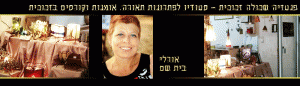 אורלי בית שם